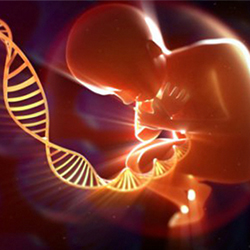 俄羅斯的試管費(fèi)用多少錢(qián)