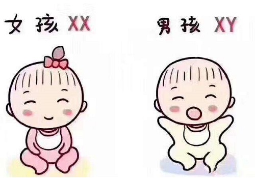 試管嬰兒生多少錢