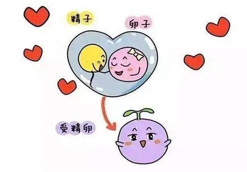 哪些因素影響泰國試管費用多少