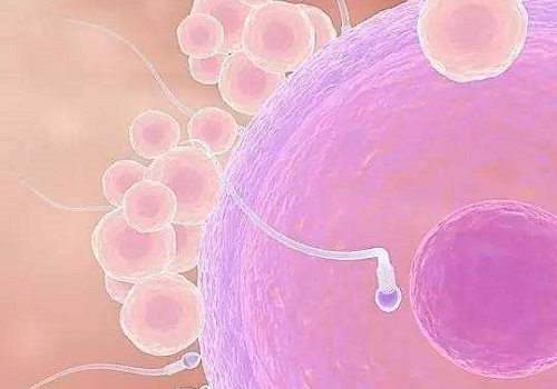 有精子情況下赴泰國(guó)試管嬰兒成功率怎么樣