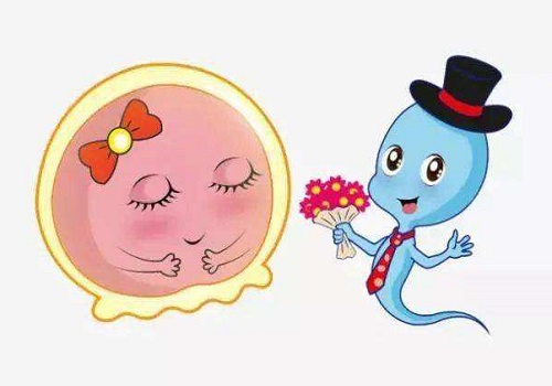 做試管大概是多少錢