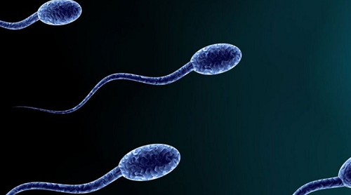 泰國的試管受精失敗后在治療要花多少錢