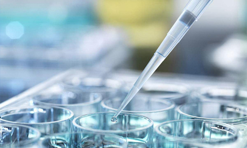 俄羅斯去做一次試管要花多少的錢