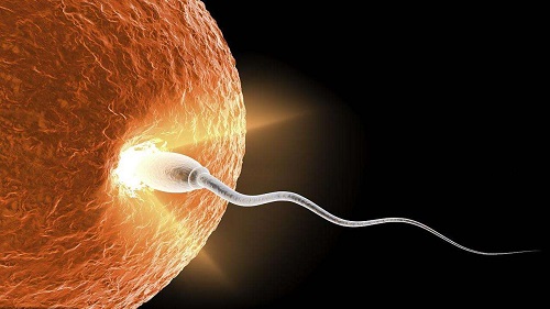 做第三代試管的一般費用是多少