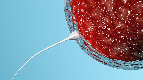 做試管嬰兒多少錢