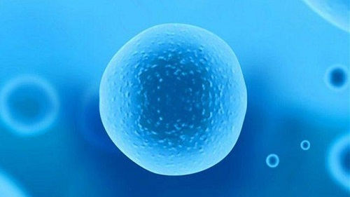 海外試管嬰兒中介和自助的區(qū)別