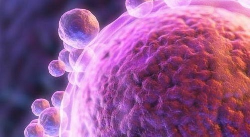 第二代試管嬰兒過(guò)程是怎樣的