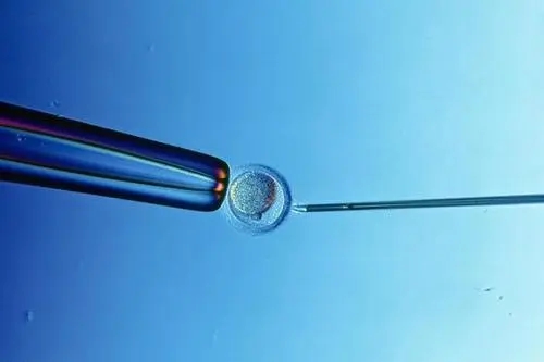 試管嬰兒需要花費(fèi)多少錢(qián)?