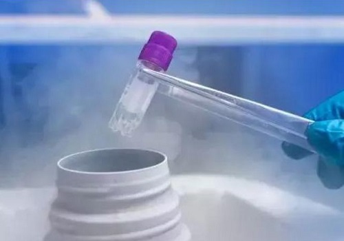第二代試管嬰兒過(guò)程是什么