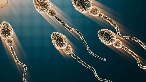 試管嬰兒一次能成功嗎?