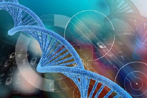 第二代試管嬰兒過程介紹