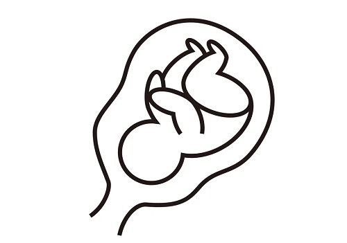 泰國三代試管嬰兒步驟