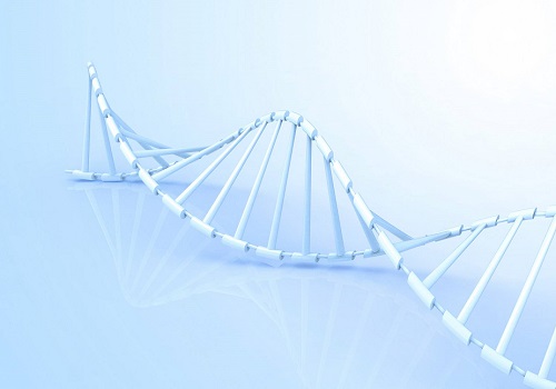 泰國試管嬰兒的過程是怎么樣的