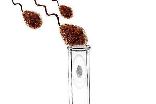 泰國二代試管嬰兒成功率多少