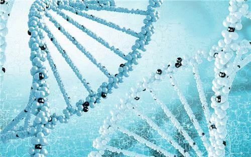 俄羅斯試管嬰兒技術(shù)的優(yōu)勢在哪里