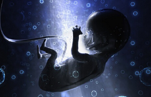 泰國的試管嬰兒技術(shù)更好嗎